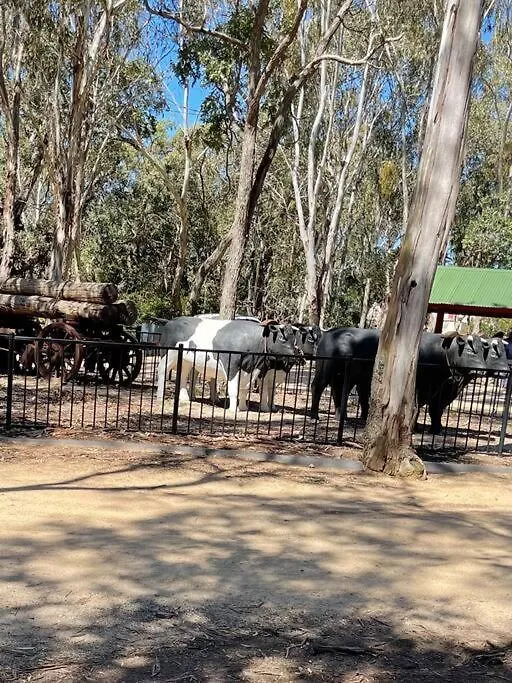 High Country Haven Villa Crows Nest